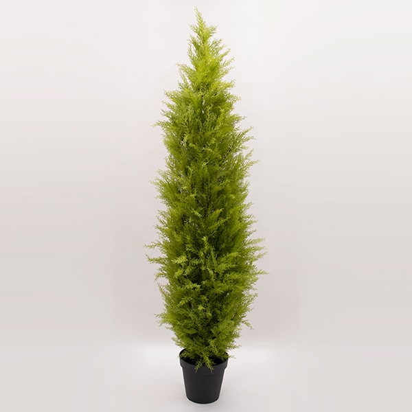 ポット 《 フェイクグリーン 観葉植物 》◆とりよせ品◆ ゴールドクレストポット(XL) グリーン観葉植物 観葉樹 フェイクグリーン リーフ おしゃれ 南国風 インテリア 人工観葉 インテリアフラワー 店舗装飾 春