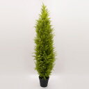 《 フェイクグリーン 観葉植物 》◆とりよせ品◆ ゴールドクレストポット(XL) グリーン観葉植物 観葉樹 フェイクグリーン リーフ おしゃれ 南国風 インテリア 人工観葉 インテリアフラワー 店舗装飾 春