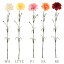 《 造花 》◆とりよせ品◆Viva カーネーション母の日 アーティフィシャルフラワー インテリア インテリアフラワー フェイクフラワー シルクフラワー インテリアグリーン フェイクグリーン アートフラワー 193円