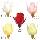 【ポイント10倍中 7/11 09:59迄】 プリザーブドフラワー 花材 とりよせ品 スージー(1箱20輪入り) ドライフラワー 花材 素材 パーツ 材料 ロー...