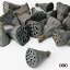 《 ドライフラワー 》大地農園/オオチノウエン ミニハス・約2cm Nワークショップ パーツ
