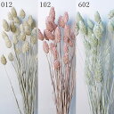 ドライフラワー 花材 とりよせ品 ポアプランツ 穂 ファラリス ピンク 白 ホワイト マットカラー ブルー ライトブルー くすみカラー ドライフラワー スワッグ...