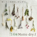 ★P10倍 10/14 20時から★ ドライフラワー 花材 即日出荷 もっとドライフラワー 小分け 少量 花材 ドライフラワー インテリア ディプレイ ギフト ...
