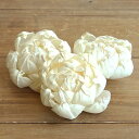 ハンドメイドフラワー 花材 即日出荷 ソラ ピオニー L ドライフラワー 花材 素材 材料 パーツ 自然素材 ハンドメイドフラワー ナチュラルドライフラワー イ...