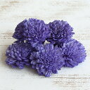 【ポイント10倍中 7/11 09:59迄】 ハンドメイドフラワー 花材 即日出荷 ソーラーダリア・6cm パープル ※濃淡があります ドライフラワー ソーラー...