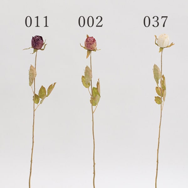 ¤ Ȥ褻 奬ɥ饤(M) ƥꥢ ƥꥢե եե 륯ե ƥꥢ꡼ ե...