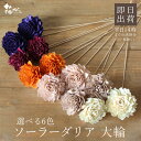 ハンドメイドフラワー 花材 即日出荷 ソーラーダリア・大輪 ドライフラワー ソーラー ハンドメイドフラワー 花 花材 素材 材料 ブーケ スワッグ クラッチブーケ リース 花束 アレンジ ディスプレイ 装飾 撮影 自然素材 結婚式 ブライダル パーツ 大地農園