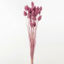 ドライフラワー 花材 即日出荷 ポアプランツ エスプリピンク 穂 ドライフラワー スワッグ ブーケ ドライフラワー花束 ドライフラワースワッグ リース アレンジ...