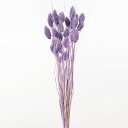 ★P10倍 10/14 20時から★ ドライフラワー 花材 即日出荷 ポアプランツ エンジェルパープル 穂 ドライフラワー スワッグ ブーケ ドライフラワー花束...