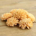 【ポイント10倍中 7/11 09:59迄】 ハンドメイドフラワー 花材 即日出荷 ソーラーダリア・6cm オーク ドライフラワー ソーラー ハンドメイドフラワ...