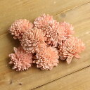 ★P10倍 10/14 20時から★ ハンドメイドフラワー 花材 即日出荷 ソーラーダリア・6cm ピンクベージュ ドライフラワー ソーラー ハンドメイドフラワ...