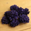 【ポイント10倍中 7/11 09:59迄】 ハンドメイドフラワー 花材 即日出荷 ソーラーダリア・6cm ダークパープル ドライフラワー ソーラー ハンドメイ...