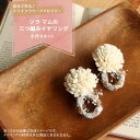 ハンドメイドフラワー 花材 即日出荷 自分で作るドライフラワーアクセサリー ソラマムの三つ編みイヤリング ドライフラワー ハンドメイド DIY 自由研究 キット...