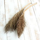 ドライフラワー 花材 即日出荷 ほうき草 ナチュラル リーフ 葉 ドライフラワー スワッグ ブーケ ドライフラワー花束 ドライフラワースワッグ リース アレンジ...