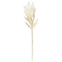 【ポイント10倍中 7/11 09:59迄】 造花 とりよせ品 プロテア 白 ホワイト グラデーション ライラック ワイルドフラワー インテリア インテリアフラ...