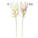 【ポイント10倍中 7/11 09:59迄】 造花 とりよせ品 プロテア 白 ホワイト グラデーション ライラック ワイルドフラワー インテリア インテリアフラ...