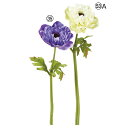 【ポイント10倍中 7/11 09:59迄】 造花 とりよせ品 アネモネ アーティフィシャルフラワー インテリア インテリアフラワー フェイクフラワー シルクフ...