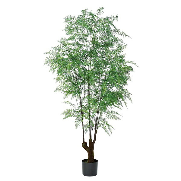 《 フェイクグリーン 観葉植物 》 ◆とりよせ品◆Asca(アスカ) 【メーカー直送】ファーン(ポット付) 195cm《代引不可・他商品との同梱不可》 観葉植物 1.9m 大型 おしゃれ 人工観葉 インテリア インテリアフラワー フェイクフラワー シルクフラワー 安い 春