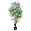 《 フェイクグリーン 観葉植物 》◆とりよせ品◆Asca(アスカ) 【メーカー直送】ファーン(ポット付) 195cm《代引不可・他商品との同梱不可》 グリーン観葉植物 1.9m 大型 おしゃれ 人工観葉 春