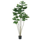 フェイクグリーン 観葉植物 とりよせ品 【メーカー直送品】ウンベラータ(ポット付) 150cm《代引決済・他商品と同梱不可》 観葉植物 1.5m おしゃれ 春 ...