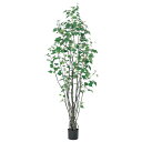 フェイクグリーン 観葉植物 とりよせ品 【メーカー直送】バーチツリー(ポット付) 180cm《代引不可・他商品との同梱不可》 観葉植物 1.8m 大型 おしゃれ...