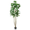 《 フェイクグリーン 観葉植物 》◆とりよせ品◆Asca(アスカ) 【メーカー直送品】ウンベラータ(ポット付) 220cm《代引決済・他商品と同梱不可》 グリーン観葉植物 2.2m 大型 おしゃれ 人工観葉