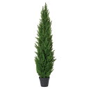 フェイクグリーン 観葉植物 とりよせ品 【メーカー直送品】サイプレスポット 150cm《代引決済・他商品と同梱不可》 観葉植物 1.5m 大型 人工観葉 インテ...