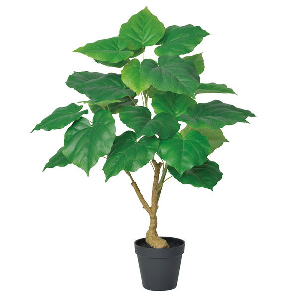 《 フェイクグリーン 観葉植物 》◆とりよせ品◆Asca(アスカ) ウンベラータ(ポット付) 60cm グリーン観葉植物 60cm おしゃれ 人工観葉 イ..