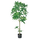 フェイクグリーン 観葉植物 とりよせ品 【メーカー直送品】パキラ(ポット付) 150cm《代引決済・他商品と同梱不可》 観葉植物 1.5m 大型 おしゃれ 人工...