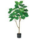 フェイクグリーン 観葉植物 とりよせ品 【メーカー直送品】ウンベラータ(ポット付) 120cm《代引決済・他商品と同梱不可》 観葉植物 1.2m おしゃれ 人工...