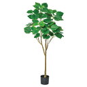 フェイクグリーン 観葉植物 とりよせ品 【メーカー直送品】ウンベラータ(ポット付) 145cm《代引決済・他商品と同梱不可》 観葉植物 1.4m おしゃれ 人工...