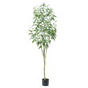 造花 フェイクグリーン 観葉植物 とりよせ品 【メーカー直送品】ユーカリ(ポット付) 200cm《代引決済・他商品と同梱不可》 観葉植物 2m 大型 おしゃれ ...