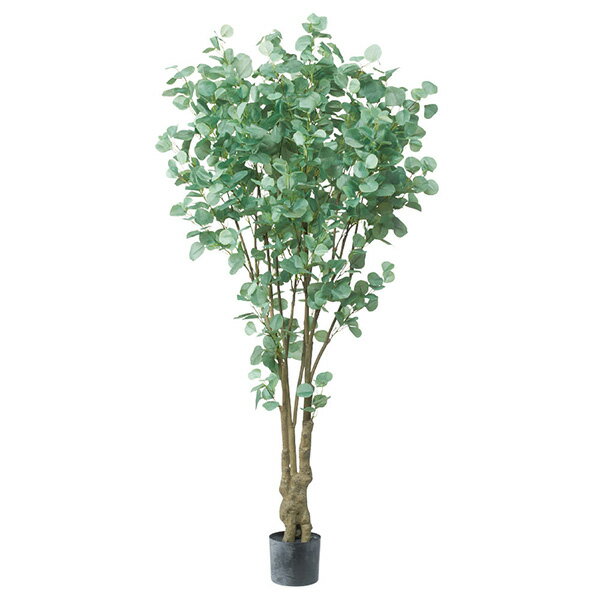 《 フェイクグリーン 観葉植物 》◆とりよせ品◆Asca(アスカ) 【メーカー直送品】ユーカリ(ポット付) 180cm《代引決済・他商品と同梱不可》 グリーン観葉植物 1.8m 大型 おしゃれ 人工観葉 春