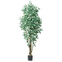 造花 フェイクグリーン 観葉植物 とりよせ品 【メーカー直送品】ユーカリ(ポット付) 225cm《代引決済・他商品と同梱不可》 観葉植物 2m 大型 おしゃれ ...