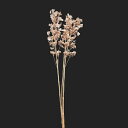 プリザーブドフラワー 花材 即日出荷 ノリウツギ ※色が薄い場合があります ピンクベージュ アジサイ あじさい 紫陽花 花びら プリザーブドフラワー スワッグ ...