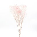 プリザーブドフラワー 花材 即日出荷 モリソニア ピンク プリザーブドフラワー スワッグ ブーケ ドライフラワー 花束 リース アレンジ 花材 素材 材料 パー...