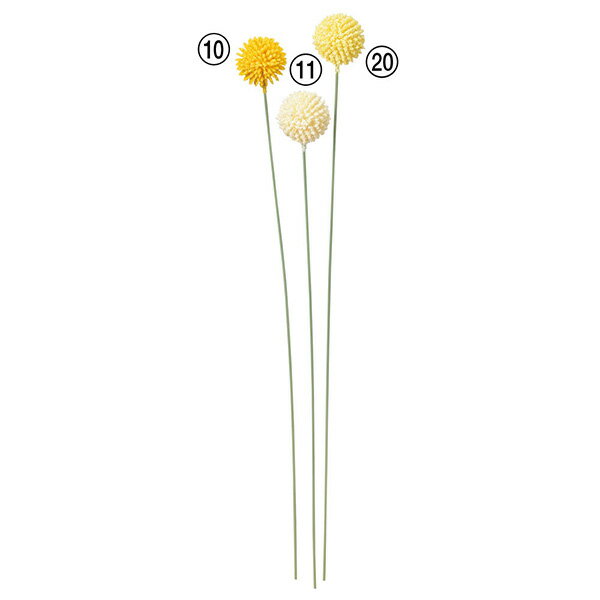 造花 とりよせ品 クラスペディア ビリーボタン ドラムスティック 黄色 クリーム 白 ホワイト アー