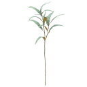 【ポイント10倍中 7/11 09:59迄】 造花 グリーン とりよせ品 ユーカリ グリーン みどり ライトグリーン リーフ 葉 インテリア フェイク パーツ ...
