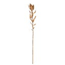 【ポイント10倍中 7/11 09:59迄】 造花 グリーン とりよせ品 リュウカデンドロン インテリア フェイク グリーン パーツ インテリアフラワー フェイ...