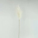 造花 グリーン とりよせ品 パンパス 穂 インテリア フェイク グリーン パーツ インテリアフラワー フェイクフラワー シルクフラワー インテリアグリーン フェ...