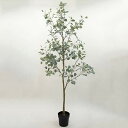 【ポイント10倍中 7/11 09:59迄】 フェイクグリーン 観葉植物 【メーカー直送品】 丸葉ユーカリポット(組立式) 210cm《代引不可・他商品との同梱...