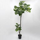 【ポイント10倍中 7/11 09:59迄】 フェイクグリーン 観葉植物 【メーカー直送品】 ウンベラータポット(組立式) 200cm《代引不可・他商品との同梱...
