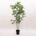 【ポイント10倍中 7/11 09:59迄】 フェイクグリーン 観葉植物 【メーカー直送品】 トネリコポット 150cm《代引不可・他商品との同梱不可》 観葉植...