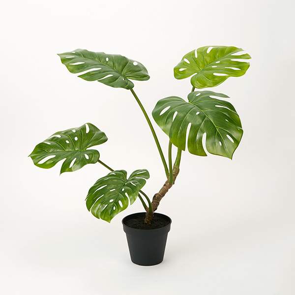 《 フェイクグリーン 観葉植物 》◆とりよせ品◆ 【メーカー直送品】モンステラポット71cm《代引決済・他商品との同梱不可》 グリーン観葉植物 0.7m おしゃれ 人工観葉 インテリア インテリアフラワー