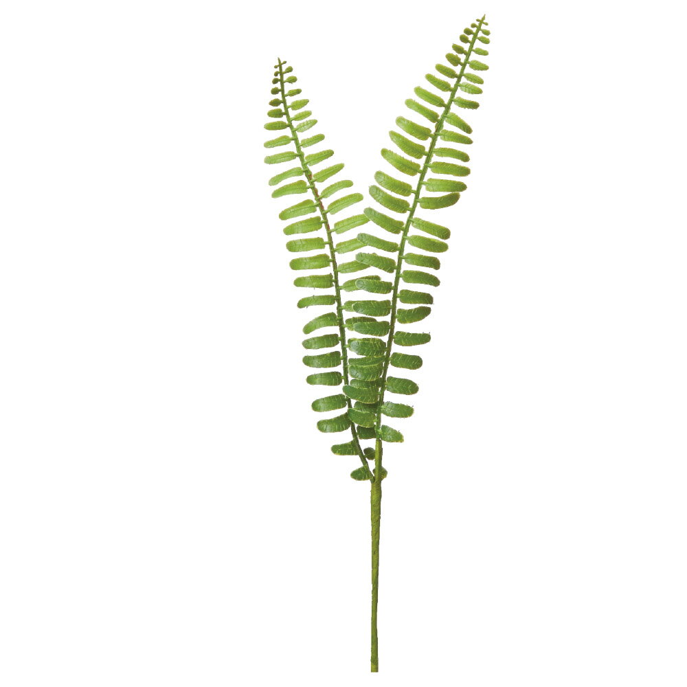 正月造花グリーンとりよせ品タマシダ...