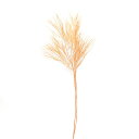 ドライフラワー 花材 即日出荷 特価 メキシカンフェザー ピーチ スワッグ 髪飾り 花材 パーツ 材料 花束 ブーケ おしゃれ ディスプレイ ブライダル インテ...