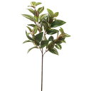 【ポイント10倍中 7/11 09:59迄】 造花 グリーン とりよせ品 トラディス ホワイトグリーン インテリア フェイク グリーン パーツ インテリアフラワ...