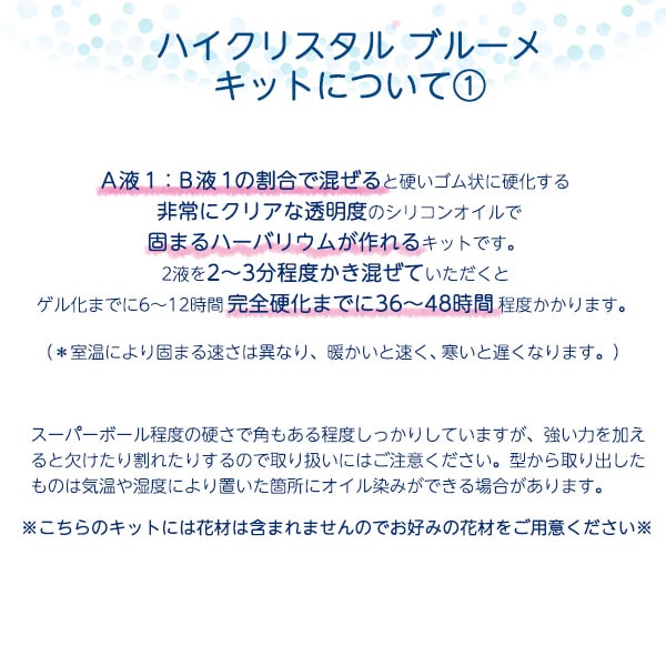 ★即日出荷★【ハーバリウム】ハイクリスタル ブルーメ キット2[4.5cm角] シリコン シリコーン 固まるハーバリウム ハーバリウムオイル 植物標本 手作り キット ドライフラワー イベント 液 原料 原液 ワークショップ ハンドメイド 教室 夏休み 自由研究 ギフト 花