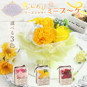 ソープフラワー プレゼント 即日出荷 ソープフラワー ふんわりミニブーケ 誕生日 結婚祝い そのまま飾れる 誕生日プレゼント 花束 ギフト オシャレ 造花 お供...