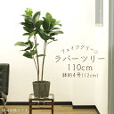 フェイクグリーン 観葉植物 とりよせ品 【メーカー直送品】 ラバーツリーポット(L) 110cm《代引不可・他商品との同梱不可》 観葉植物 1m 人工観葉 アス...